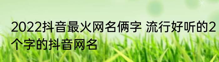 2022抖音最火网名俩字 流行好听的2个字的抖音网名