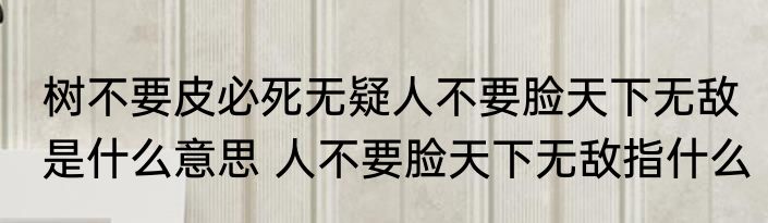 树不要皮必死无疑人不要脸天下无敌是什么意思 人不要脸天下无敌指什么