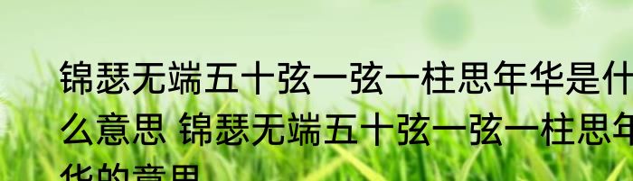 锦瑟无端五十弦一弦一柱思年华是什么意思 锦瑟无端五十弦一弦一柱思年华的意思
