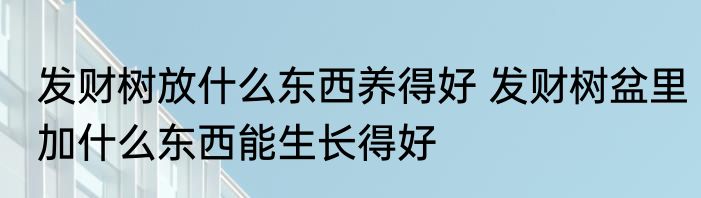 发财树放什么东西养得好 发财树盆里加什么东西能生长得好