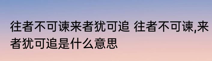 往者不可谏来者犹可追 往者不可谏,来者犹可追是什么意思