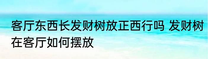 客厅东西长发财树放正西行吗 发财树在客厅如何摆放