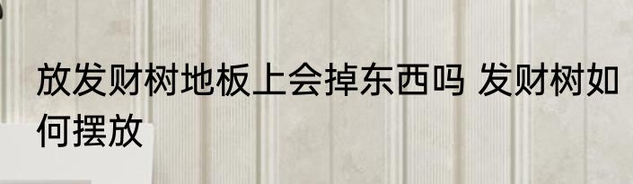 放发财树地板上会掉东西吗 发财树如何摆放