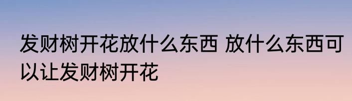发财树开花放什么东西 放什么东西可以让发财树开花