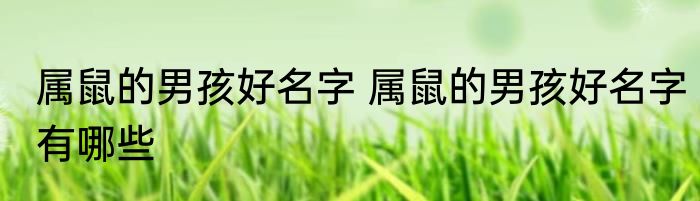 属鼠的男孩好名字 属鼠的男孩好名字有哪些