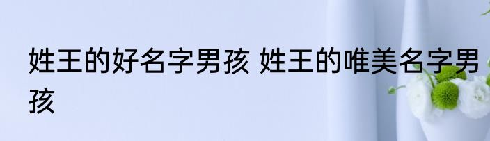 姓王的好名字男孩 姓王的唯美名字男孩