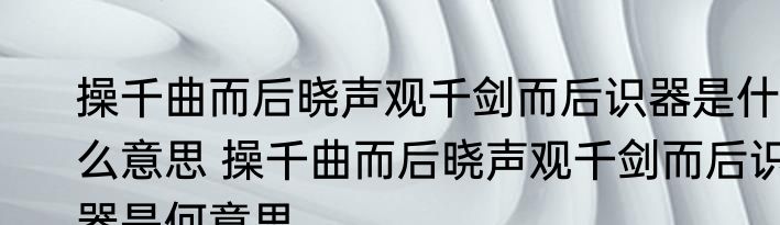 操千曲而后晓声观千剑而后识器是什么意思 操千曲而后晓声观千剑而后识器是何意思
