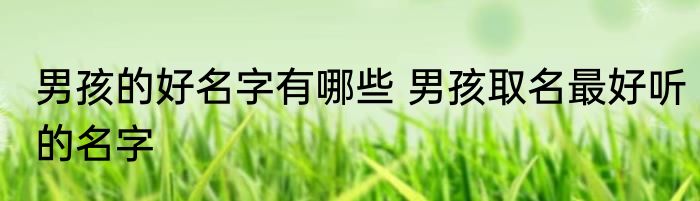 男孩的好名字有哪些 男孩取名最好听的名字