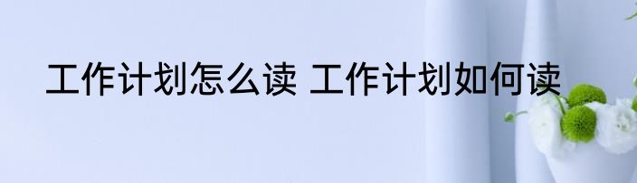 工作计划怎么读 工作计划如何读