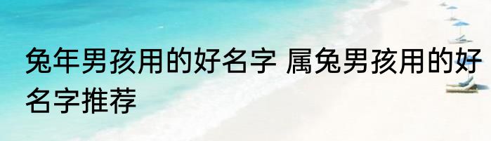 兔年男孩用的好名字 属兔男孩用的好名字推荐