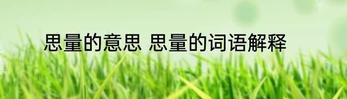 思量的意思 思量的词语解释