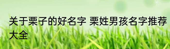 关于栗子的好名字 栗姓男孩名字推荐大全