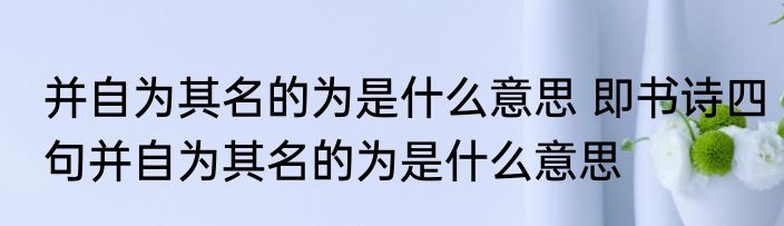 并自为其名的为是什么意思 即书诗四句并自为其名的为是什么意思