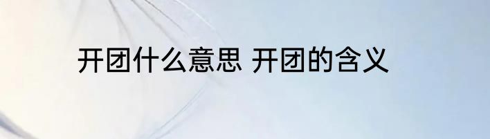 开团什么意思 开团的含义