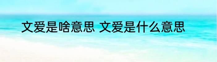 文爱是啥意思 文爱是什么意思