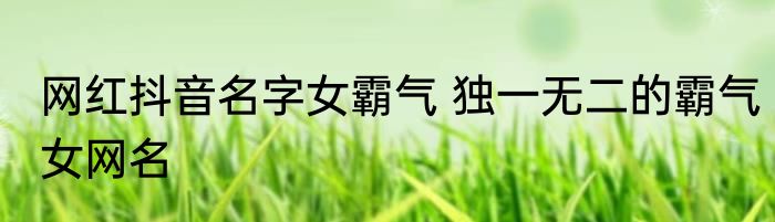 网红抖音名字女霸气 独一无二的霸气女网名