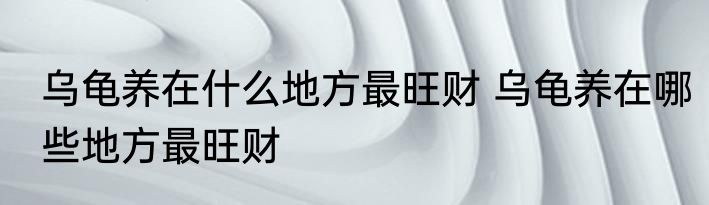 乌龟养在什么地方最旺财 乌龟养在哪些地方最旺财