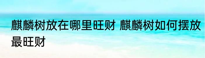麒麟树放在哪里旺财 麒麟树如何摆放最旺财