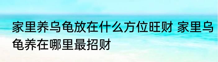 家里养乌龟放在什么方位旺财 家里乌龟养在哪里最招财
