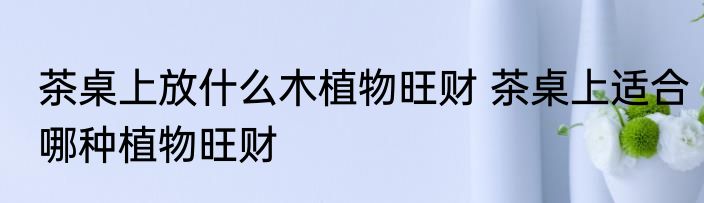 茶桌上放什么木植物旺财 茶桌上适合哪种植物旺财