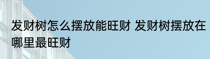 发财树怎么摆放能旺财 发财树摆放在哪里最旺财
