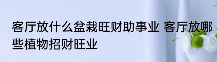 客厅放什么盆栽旺财助事业 客厅放哪些植物招财旺业