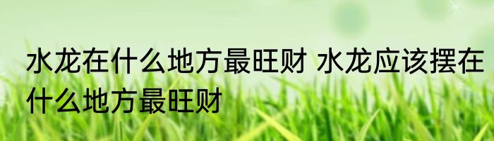 水龙在什么地方最旺财 水龙应该摆在什么地方最旺财