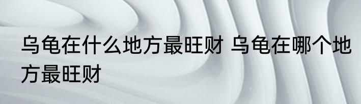 乌龟在什么地方最旺财 乌龟在哪个地方最旺财