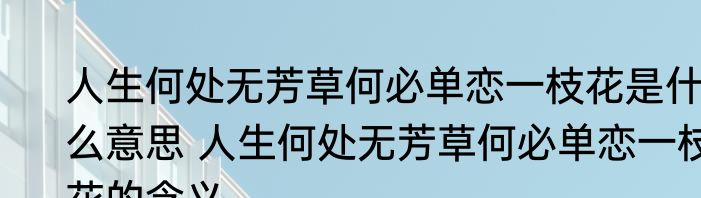 人生何处无芳草何必单恋一枝花是什么意思 人生何处无芳草何必单恋一枝花的含义