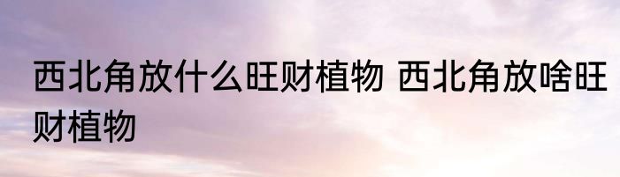 西北角放什么旺财植物 西北角放啥旺财植物