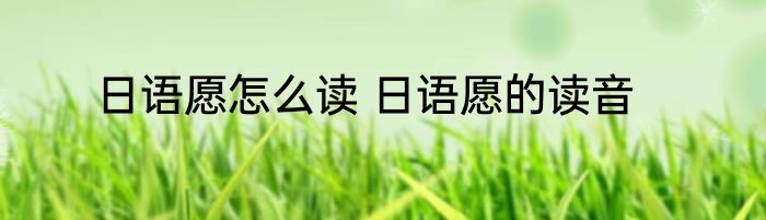 日语愿怎么读 日语愿的读音