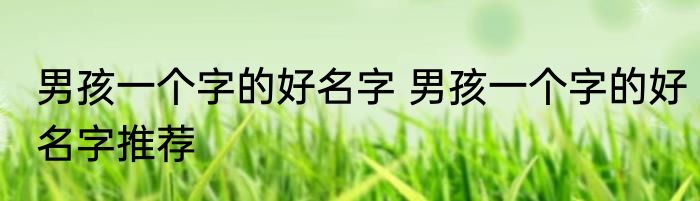 男孩一个字的好名字 男孩一个字的好名字推荐