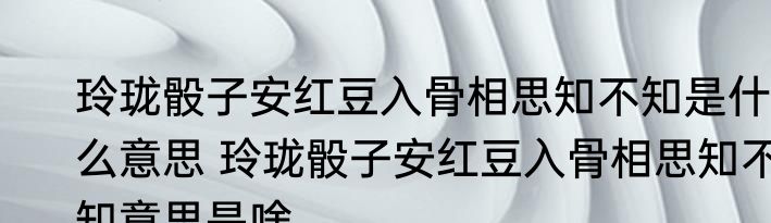 玲珑骰子安红豆入骨相思知不知是什么意思 玲珑骰子安红豆入骨相思知不知意思是啥