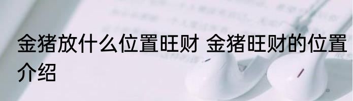 金猪放什么位置旺财 金猪旺财的位置介绍