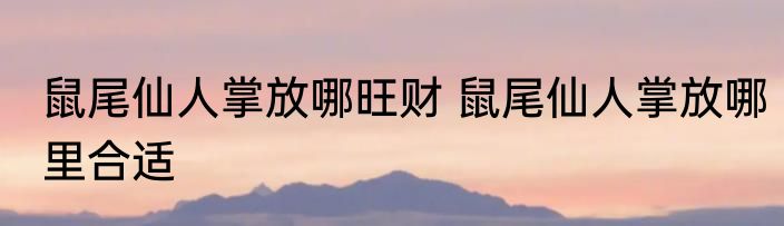 鼠尾仙人掌放哪旺财 鼠尾仙人掌放哪里合适
