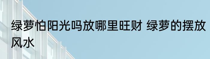 绿萝怕阳光吗放哪里旺财 绿萝的摆放风水