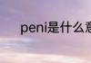peni是什么意思 peni怎么解释