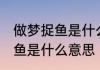 做梦捉鱼是什么意思周公解梦 做梦捉鱼是什么意思