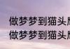 做梦梦到猫头鹰是什么意思 不同的人做梦梦到猫头鹰的梦境解析