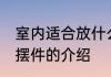 室内适合放什么摆件招财 家中旺财的摆件的介绍