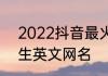 2022抖音最火网名女英文 好听的女生英文网名