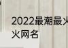 2022最潮最火网名 唯美伤感最潮最火网名