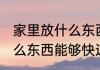 家里放什么东西发财最快 家里摆放什么东西能够快速发财