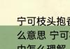 宁可枝头抱香死何曾吹落北风中是什么意思 宁可枝头抱香死何曾吹落北风中怎么理解