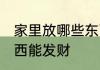 家里放哪些东西是发财 家里放什么东西能发财