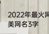 2022年最火网名3字 2022年最火唯美网名3字