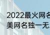 2022最火网名独一无二 2022最火唯美网名独一无二