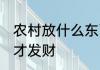 农村放什么东西才发财 农村放啥东西才发财