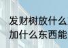 发财树放什么东西养得好 发财树盆里加什么东西能生长得好
