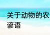 关于动物的农谚有哪些 和动物有关的谚语